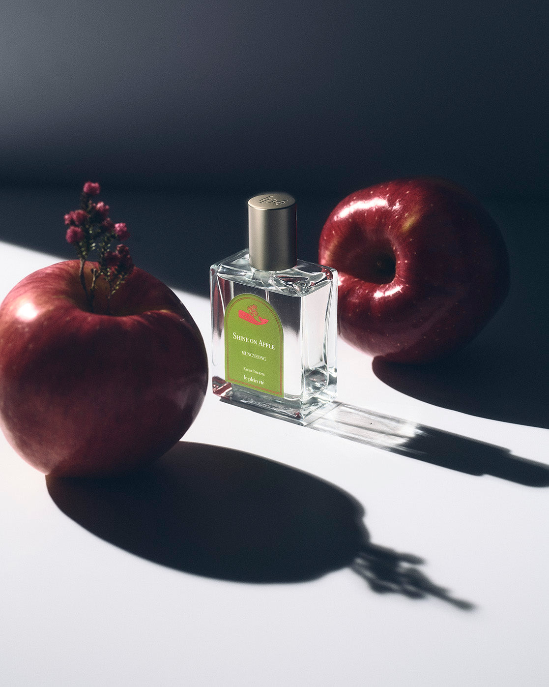 Shine on Apple ; MUN GYEONG